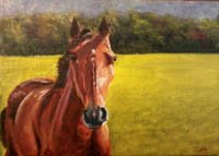 Got any apples today?